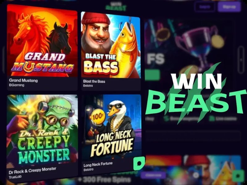 Explore winbeast promo code